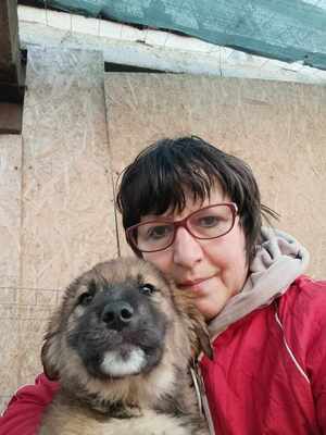 Lio - wenn Hoffnung ein Zuhause sucht, Mischling Welpen - Rüde