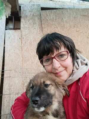 Lio - wenn Hoffnung ein Zuhause sucht, Mischling Welpen - Rüde