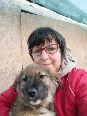 Lio - wenn Hoffnung ein Zuhause sucht, Mischling Welpen - Rüde