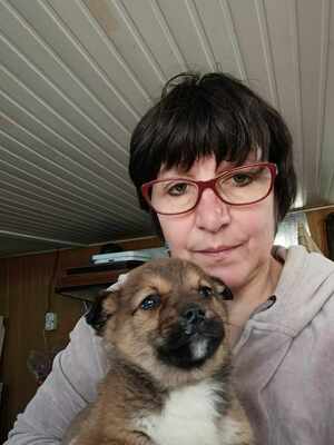 Lion – ein kleiner Herzensbrecher auf der Suche nach seinem Zuhause 🐾❤️