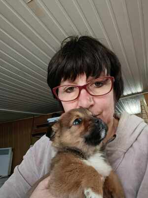 Lion – ein kleiner Herzensbrecher auf der Suche nach seinem Zuhause 🐾❤️, Mischling Welpen - Rüde