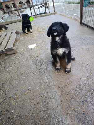 Liora, wenn Hoffnung ein Zuhause sucht