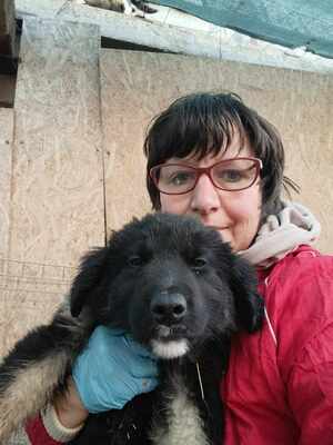 Liora, wenn Hoffnung ein Zuhause sucht, Mischling Welpen - Hündin