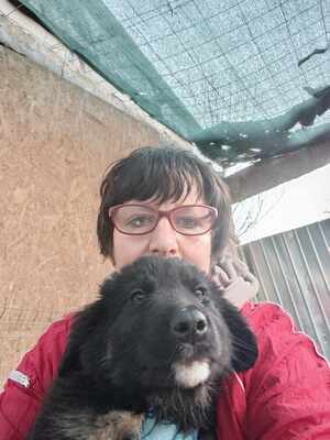 Liora, wenn Hoffnung ein Zuhause sucht, Mischling Welpen - Hündin