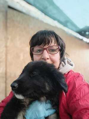 Liora, wenn Hoffnung ein Zuhause sucht, Mischling Welpen - Hündin