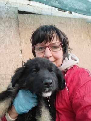 Liora, wenn Hoffnung ein Zuhause sucht, Mischling Welpen - Hündin