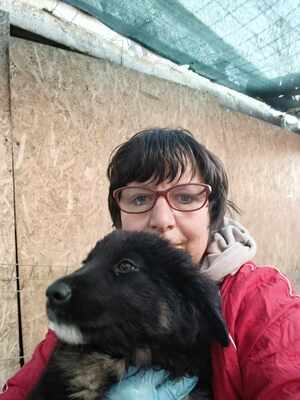 Liora, wenn Hoffnung ein Zuhause sucht, Mischling Welpen - Hündin