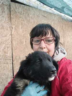 Liora, wenn Hoffnung ein Zuhause sucht, Mischling Welpen - Hündin