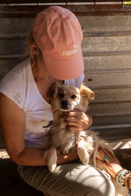 🌸 Lotte – ein kleiner Sonnenschein sucht ihr Zuhause fürs Leben 🌸, Mischling - Hündin