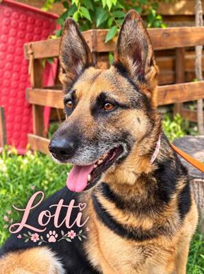 Lotti sucht ihr Glück