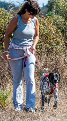 Lucile - ein feines Mädchen, Deutsch Kurzhaar-Mix - Hündin