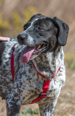 Lucile - ein feines Mädchen