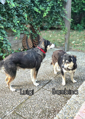 Luigi und Bambina - NOTFALL Österreich