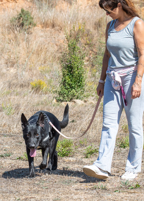 Luke - ein prima Kumpel, Mischling - Rüde