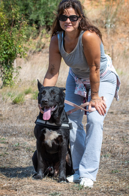 Luke - ein prima Kumpel, Mischling - Rüde