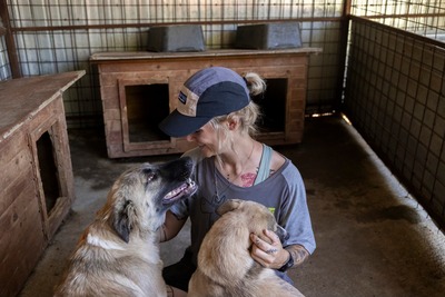 🌙 Luna – Ruhe, Liebe und Vertrauen 🌙, Mischling - Hündin