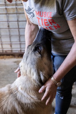 🌙 Luna – Ruhe, Liebe und Vertrauen 🌙, Mischling - Hündin