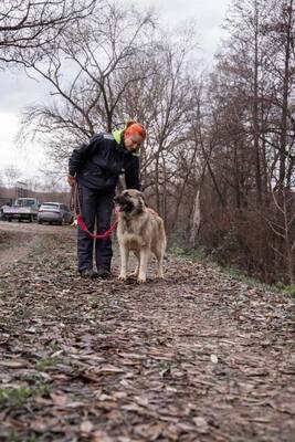 🌙 Luna – Ruhe, Liebe und Vertrauen 🌙, Mischling - Hündin
