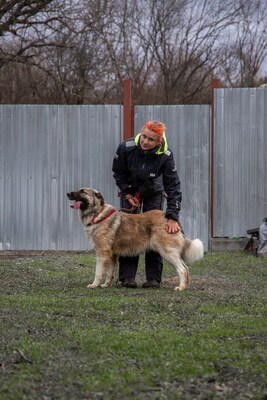🌙 Luna – Ruhe, Liebe und Vertrauen 🌙, Mischling - Hündin