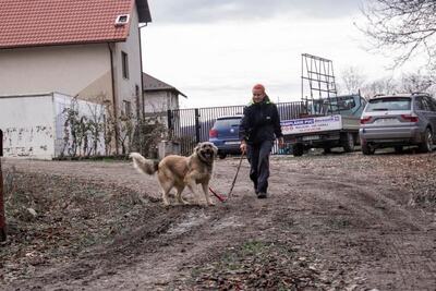 🌙 Luna – Ruhe, Liebe und Vertrauen 🌙, Mischling - Hündin