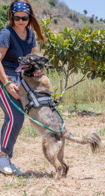 Luna - eine Seele voller Leben, Mischling - Hündin