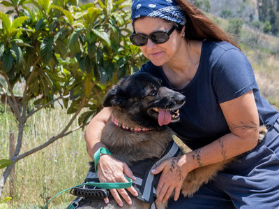 Luna - eine temperamentvolle Dame, Mischling - Hündin