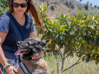 Luna - eine temperamentvolle Dame, Mischling - Hündin