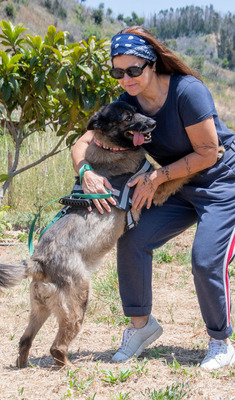 Luna - eine temperamentvolle Dame, Mischling - Hündin