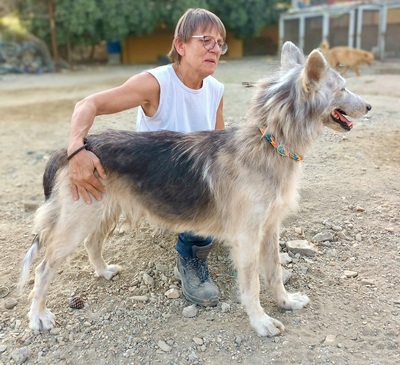 Luperca, Mix - Hündin