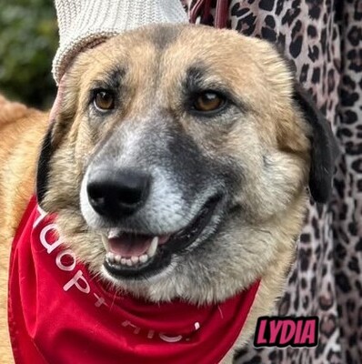 Lydia