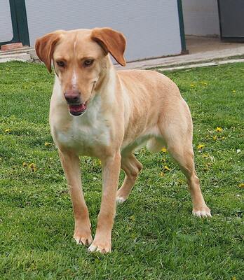 MATILDA - verspielt, freundlich, schüchtern, neugierig, liebenswert, bewegungsfreudig