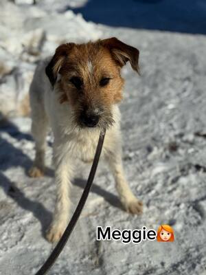 MEGGIE - Wandern, Laufen, Ball spielen