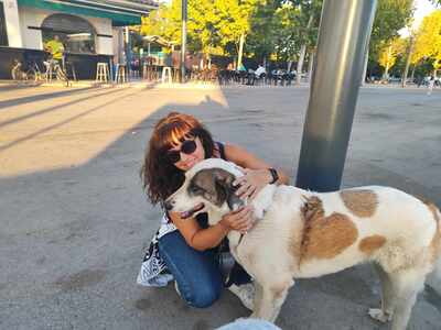 Maja, Mischling - Hündin