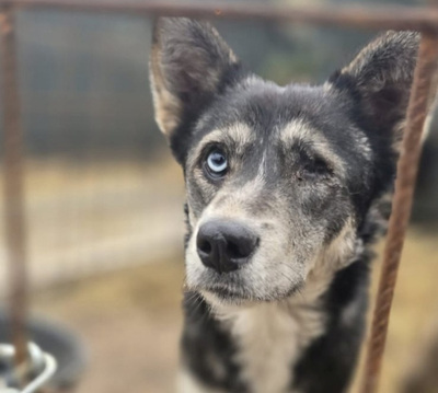 Malena freut sich auf IHRE Menschen