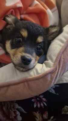 Mara, unsere kleine Zaubermaus erobert alle Herzen