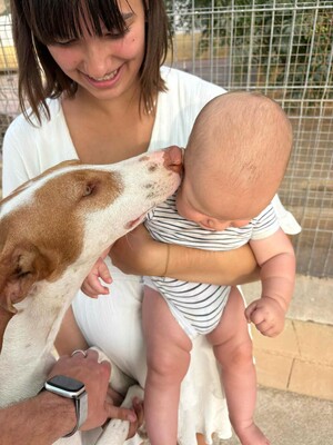 Marcela, Podenco-Mischling - Hündin