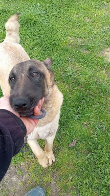 Margit sucht keinen Couchplatz sondern eine Aufgabe mit Herz und Verstand