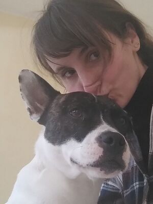 Mark, Franz.Bulldogge - Bodeguero - Mix - Rüde