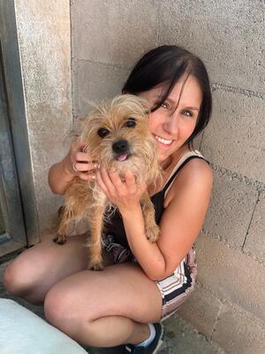 Marley, Yorkshire (Mix) - Rüde