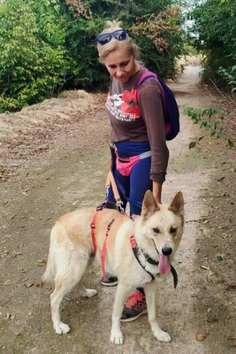 Matea, Mischling - Hündin