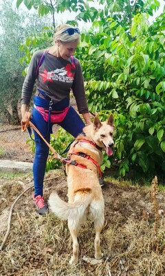 Matea, Mischling - Hündin