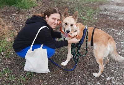 Matea, Mischling - Hündin