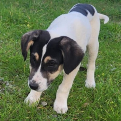 Mato  - aufgeschlossen neugierig & weltoffen 😘