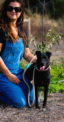 Matteus - ein sanfter Begleiter, Mischling - Rüde