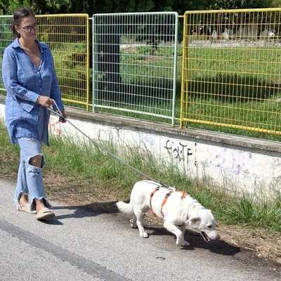 Max - aufmerksam, manchmal etwas eigenständig 😏/ Reserviert, Mischling - Rüde