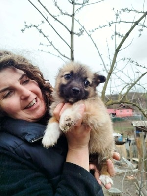 Maya möchte gerne das Hunde 1x1 lernen