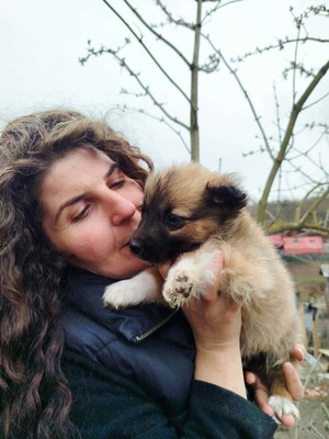 Maya möchte gerne das Hunde 1x1 lernen, Mischling Welpen - Hündin