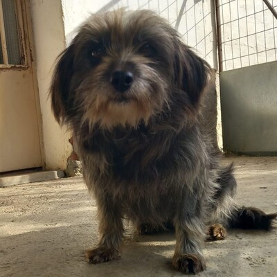 Meika - ruhig, zurückhaltend 😇