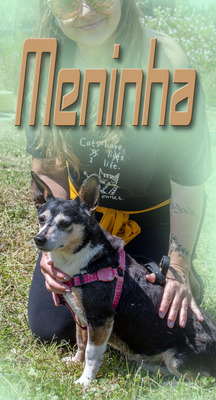 Meninha - ein reizendes älteres Mädchen, Mischling - Hündin
