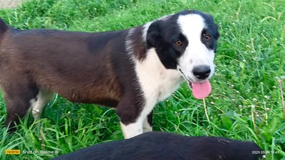 Merida wartet noch immer auf ihr eigenes Glück